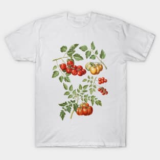 Vintage Tomato Illustration T-Shirt
